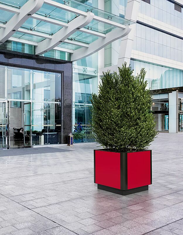 pflanzbehaelter-paosa__shoKAT0066264 Pflanzbehälter PAOSA, Stahlteile in DB 703 eisenglimmer, Korpus aus rotem Zedernholz