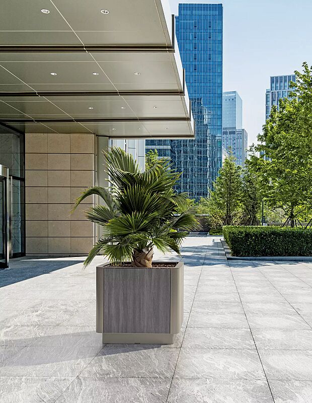 pflanzbehaelter-paosa__shoKAT0066265 Pflanzbehälter PAOSA, Stahlteile in DB 701 eisenglimmer, Korpus aus grauem Zedernholz