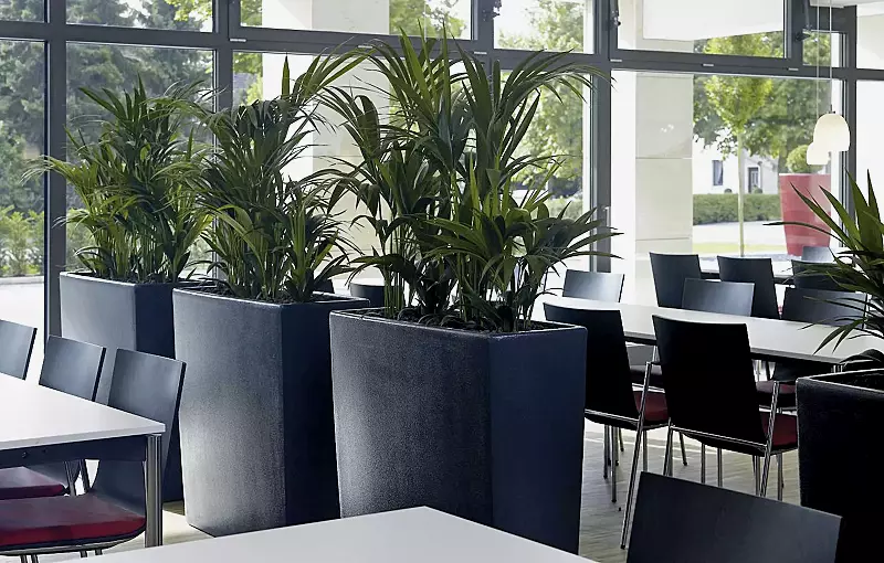 Pflanzbehälter TURA in anthrazitgrau ähnlich RAL 7016