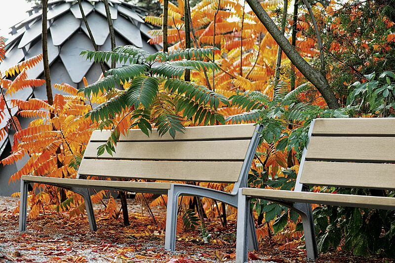 sitzbank-miela__shoKAT0057703 Sitzbank MIELA mit Rückenlehne, mit Resysta®-Belattung, lasiert in natur