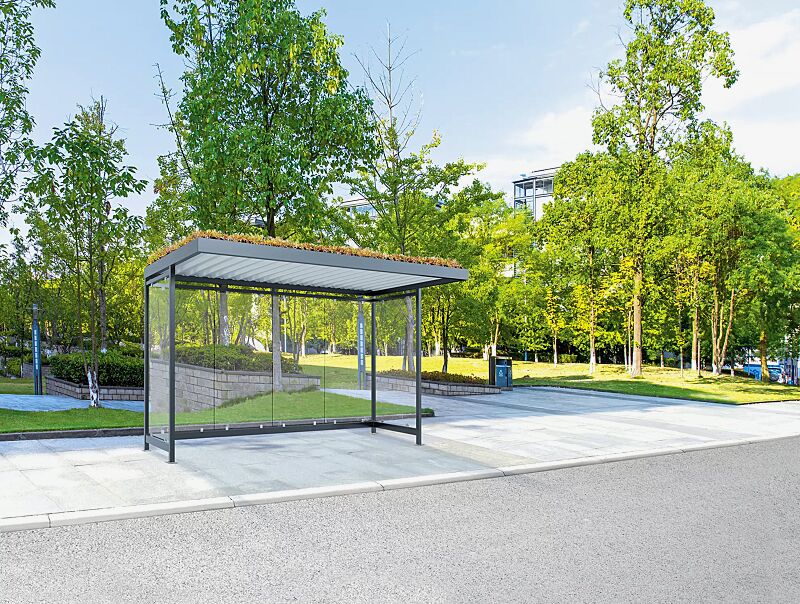 Wartehalle AQUILA GREEN, Dachbegrünungssystem Economy, Dachbreite x Dachtiefe 4195 mm x 2165 mm, zum Aufdübeln bei -200 mm, Rück- / Seitenwände ESG, Klarglas, Stahlkonstruktion in RAL 7016 anthrazitgrau