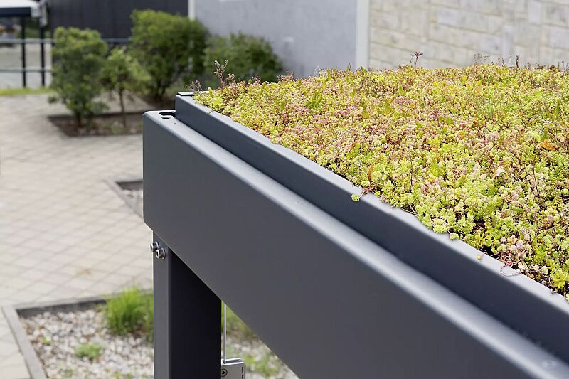 Detail: Dachbegrünung