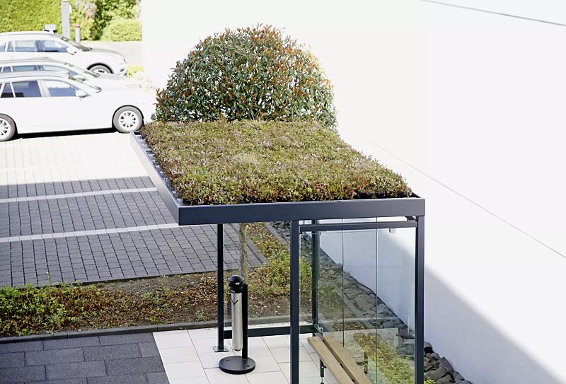 Wartehalle LEONIS GREEN, Dachbegrünungssystem Economy, Dachbreite x Dachtiefe 3180 mm x 2165 mm, mit Rück- und Seitenwänden, Stahlkonstruktion in RAL 7016 anthrazitgrau
