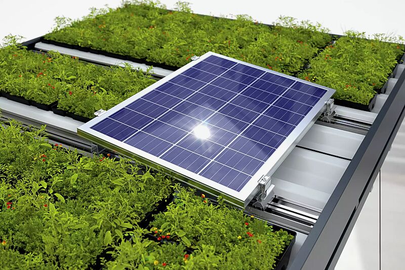 wartehalle-leonis-green__shoKAT0071896